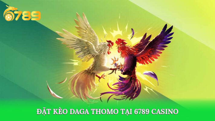 Đặt kèo gà thomo tại 6789 casino