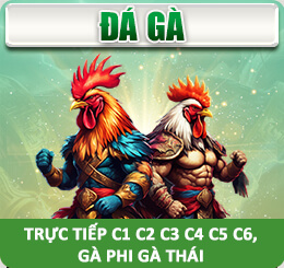 ĐÁ GÀ